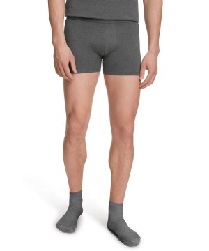 Falke 2-Pack Boxer Daily Comfort Boxer & Slips Férfi Szürke | FGIA-91784