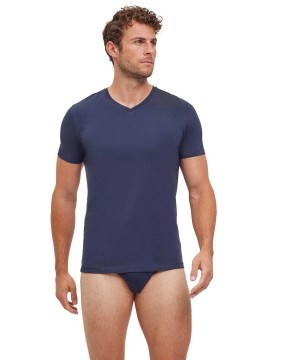 Falke 2-Pack T-Shirt V-neck Daily Comfort Rövid Ujjú Ing Férfi Szürke | HVCJ-94075