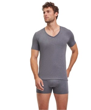 Falke 2-Pack T-Shirt V-neck Daily Comfort Rövid Ujjú Ing Férfi Szürke | RFBX-46203